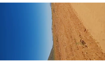 Imagem: 361 Alqs Arrendamento Disponivel Pra Soja