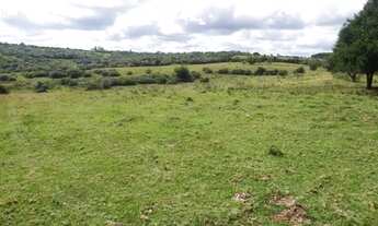 Imagem 5: Fazenda em parauapebas