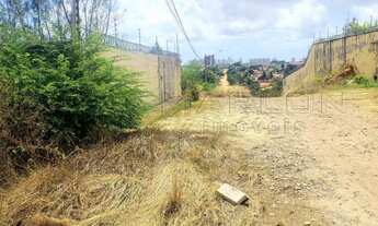 Imagem 2: Terreno no San Valle, plano, cercado. 800m²