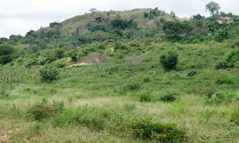 Imagem 2: Terreno de 10.000m² à Venda em Campo Formoso