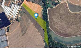 Imagem 3: Sitio 20 mil metros em Holambra SP