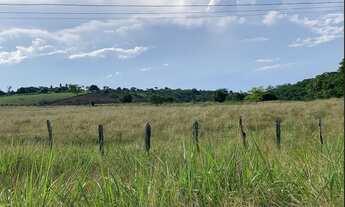 Imagem 2: Fazenda em Conceição do Jacuipe
