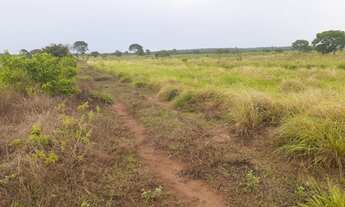 Imagem 5: 516 Alqs arrendamento Disponivel P Soja Silvanópolis TO