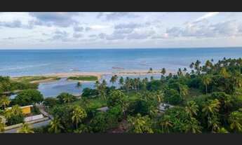 Imagem 6: Apartamento Pé na areia em Maragogi I Studio, 1 2 e 3 quartosI Cadastre-se já