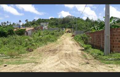 Imagem 3: Terrenos em Igarassu