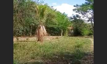 Imagem 7: Fazenda de 26 ha em Santa do Pirapama