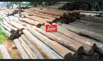 Imagem 2: Madeiras de acapu a venda esticadores mourões para currais