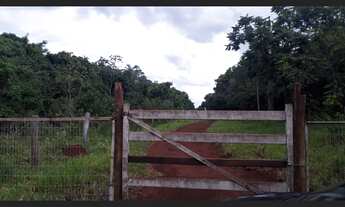 Imagem 2: ÁREA 1.33HEC PRÓX. OTÁVIO PÉCORA