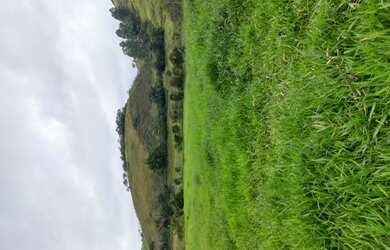 Imagem 2: SITIO EM BOM JARDIM DE MINAS