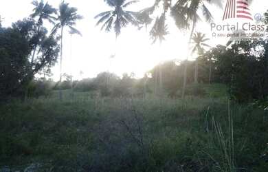 Imagem 8: CÓD.:1-528 - Sítio escriturado por apenas R$ 250 mil- Área: 22,50 TAREFAS