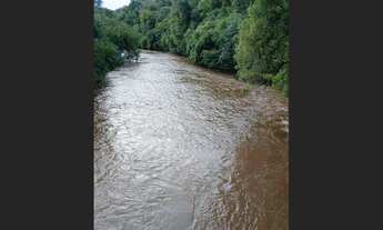 Imagem 3: Chácara 2 alqueires a 5 Kilometros de jardim alegre PR a 2 km do asfalto