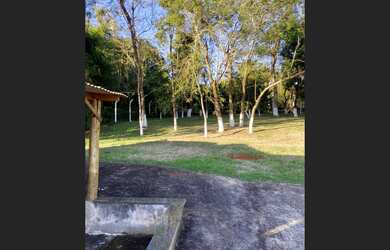 Imagem 3: Vende-se chacara em guaravera