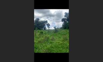 Imagem 6: Fazenda de 24 há em Claudio MG