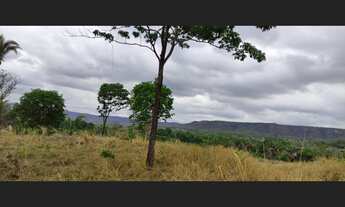 Imagem: Fazenda com 1.050 Hectares, com 680 Hectares