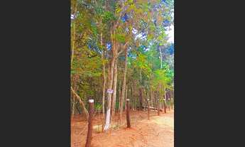 Imagem: Vendo ou troco chácara por casa em Lucas