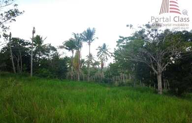 Imagem 9: CÓD.:1-528 - Sítio escriturado por apenas R$ 250 mil- Área: 22,50 TAREFAS