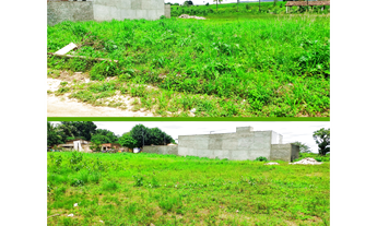 Imagem: Terreno em Guarabira