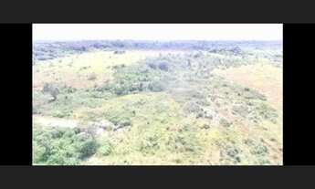 Imagem 5: Fazenda com 112,5 hectares em Colares 80% aberta por R$600 mil