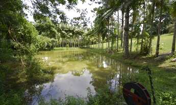 Imagem 4: Chácara à Venda em Juquitiba SP com aproximadamente 5.000 m2, casa e lago!