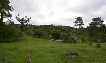 Imagem 5: Sítio à Venda em Juquitiba SP com 10,11 alqueires, 5 casas, lagos e córrego