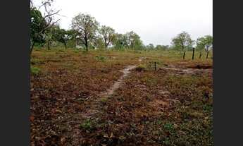 Imagem 6: Fazenda de 25 ha em Itaguara