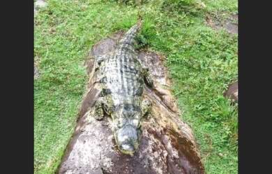 Imagem 14: Excelente fazenda em Lençóis