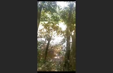 Imagem 2: Chácara de 5 mil mt em Passa Tempo MG