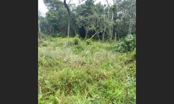 Imagem 4: Terreno c/ escritura na praia de Itanhaém