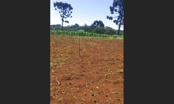 Imagem: Chácara 6 mil metros guaraniacu Pr a 70