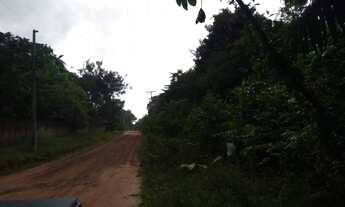 Imagem: 100x800 escriturado no Apeú em Castanhal