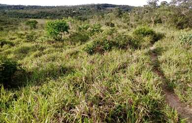 Imagem 14: Fazenda de 104 há em Itatiaiuçu MG