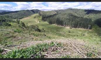 Imagem 7: TERRENO RURAL 73.3 HECTARES EM RIO DO CAMPO - SC