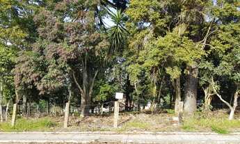 Imagem 4: Vendo lote com 1426 m2 (31x46) em Teixeira Soares, Paraná