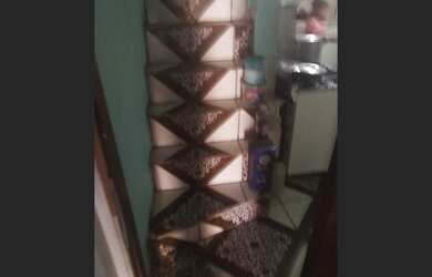 Imagem 7: Vendo casa Casa com 2 dormitórios