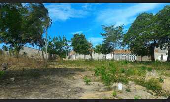 Imagem 6: Lotes do Parque Dom Pedro em Itaitinga