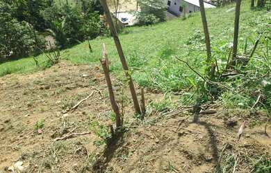 Imagem 7: Loteamento Parque Prolar II – Cariacica Sede – ES