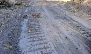 Imagem 4: 1.611 Alqs Bruta Safra e Safrinha Timom MA