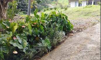 Imagem 6: Vendo Ótimo Sítio em Testo Central, Pomerode