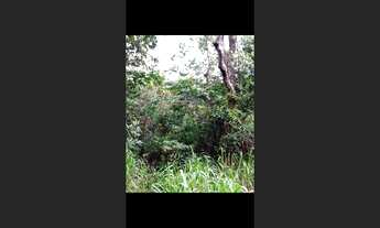 Imagem 6: Terreno de 40 ha em Itaguara MG