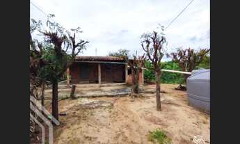 Imagem 5: PROPRIEDADE 3 HECTARES GRAÇA CE