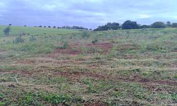 Imagem 4: Chácara 42.600m² a 200m da Venda dos Preto - Londrina