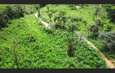 Imagem 4: Terreno de 16 há em Itaguara MG