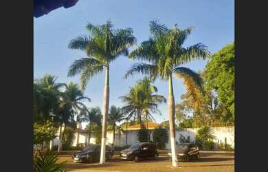 Imagem 6: Vendo Chácara Comercial c/ 15 suítes