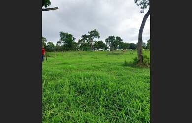 Imagem 5: Chácara 3 alqueire é Meio Sanclerlandia