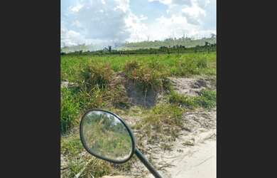 Imagem 2: Fazenda 3656 hectares 2.300.000,00 no Pará estão em matas tem escrituras