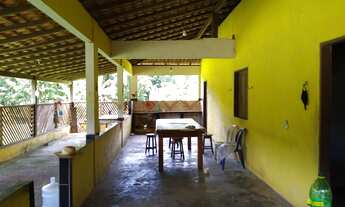 Imagem 3: Açaizal a 30 km de Castanhal por 500 mil reais 100 hectares, uns 15 mil pés de açaí