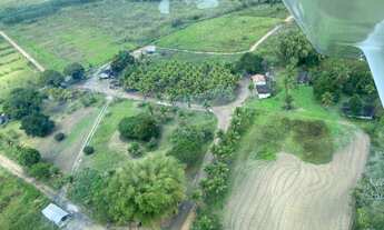 Imagem: Fazenda 600 Hectares Sul da Bahia, Prado