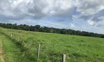 Imagem 2: Fazenda com 400 hectares no Pará sentido Bragança pronta por R$2,5 milhões