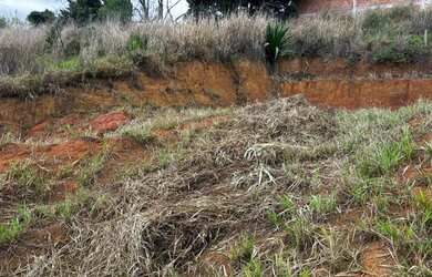 Imagem 3: Excelente lote em Paty do Alferes- RJ