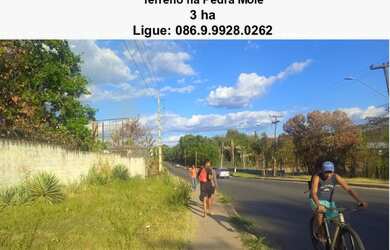 Imagem 2: Terreno de 3 ha na Pedra Mole